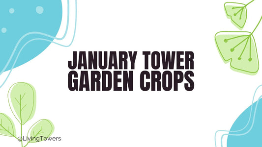 Discover 10+ Awesome Crops to Grow in January in the Tower Garden