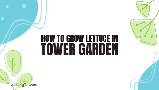 How to Grow Lettuce in a Tower Garden year-round! Simple hacks to blow your mind!