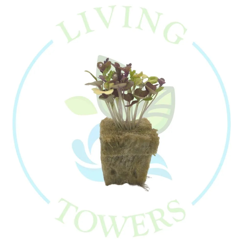 Elegance Greens Mix Tower Garden Seedling | Living Towers Florida Keys