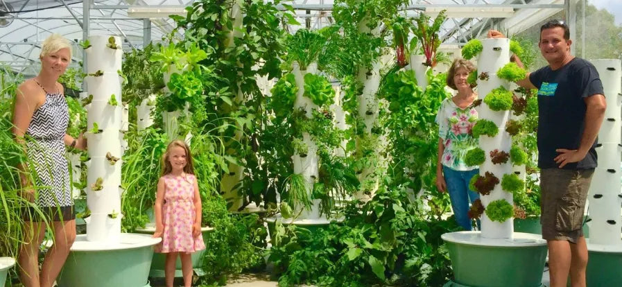 Tower Garden, Tower Farm and Seedling Experts | Living Towers Florida Keys