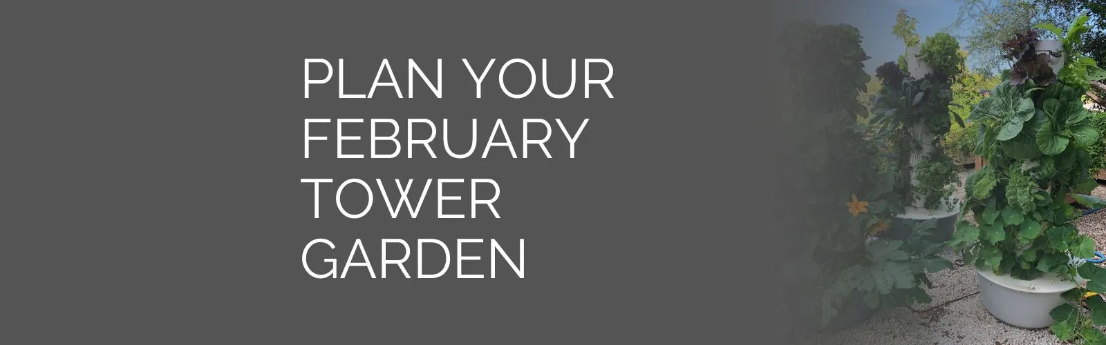 Plan your February Tower Garden