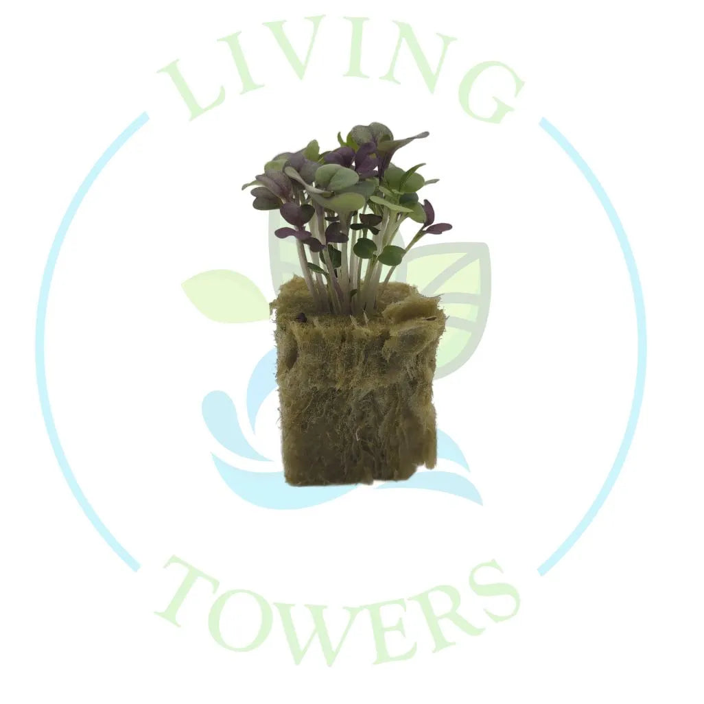 Spicy Mix Tower Garden Seedling | Living Towers Florida Keys