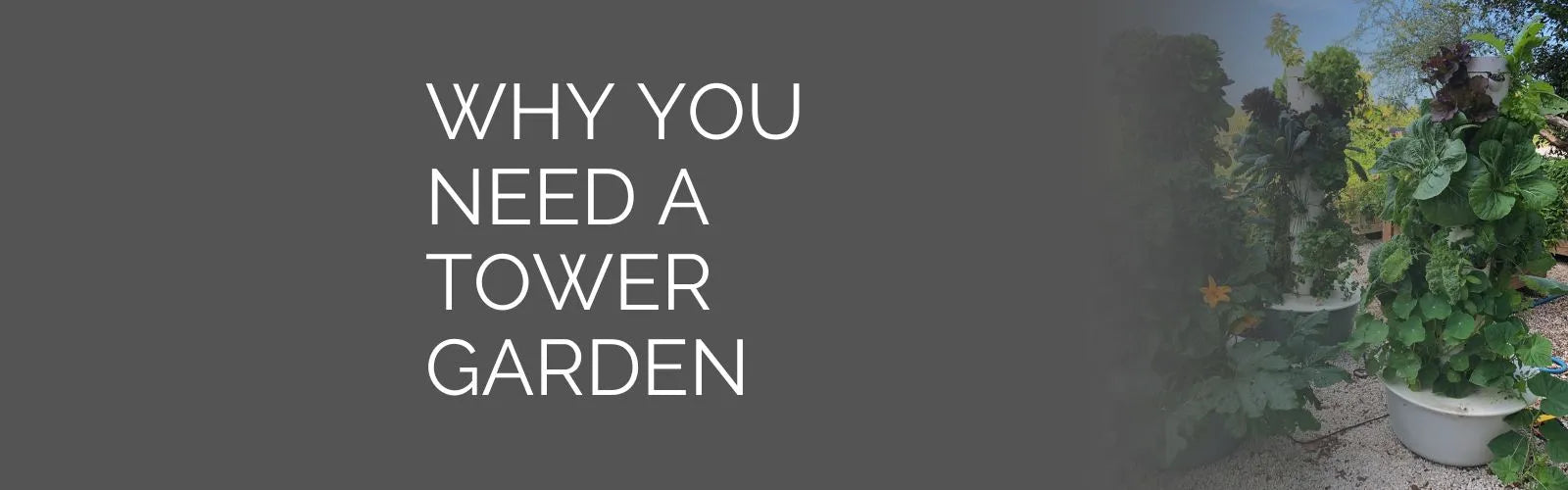Why you need a Tower Garden